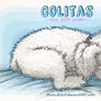 Colitas