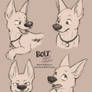 Bolt - Sketches and Expressions