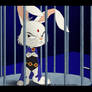 Bunny Raven...