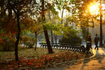 Autumn - sunlight by valixa