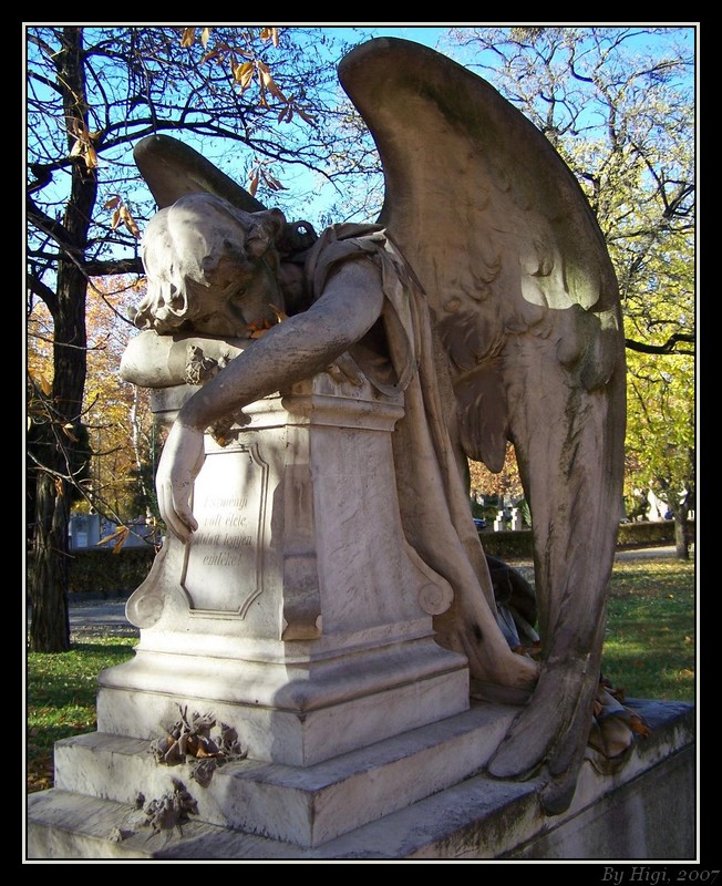 ..:: Fallen Angel ::..