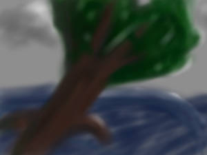 SKETCH A TREE