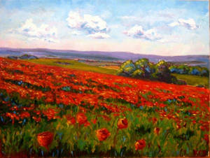 Poppy Field