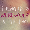 Punched a werewolf