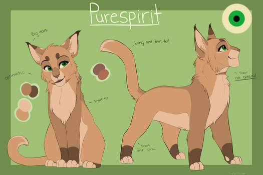 flutterheart on X: I made a reference sheet for Clanborn, pure-bred warrior  cats designs, mapping out each distinctive feature each Clan would possess,  each inspired by a certain big cat! #warriors #warriorcats #