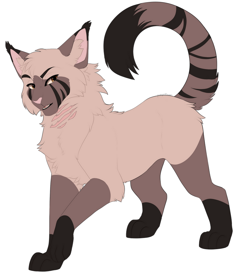 Curlewpaw by PureSpiritFlower on DeviantArt