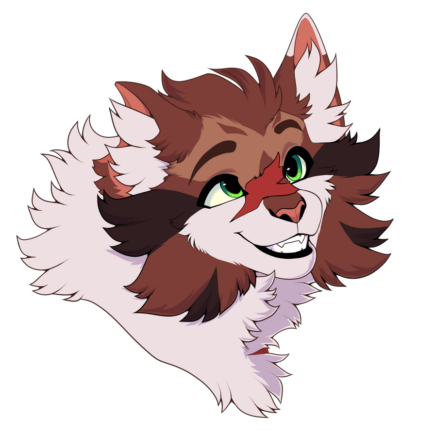 Sparrowhawk by PureSpiritFlower on DeviantArt