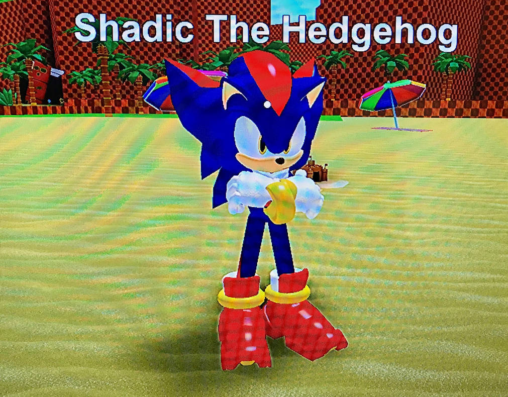 Shadic The Hedgehog by DarkusRagnarok on DeviantArt