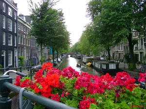 Amsterdam canal