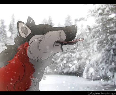 Breathing In the Snowflakes