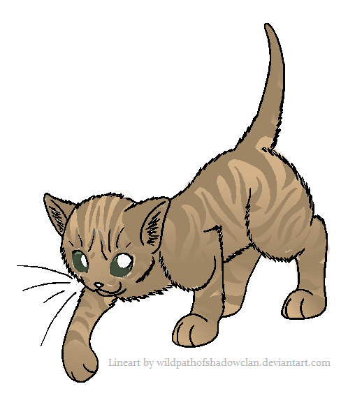 RiverClan Tabby 'Colored'