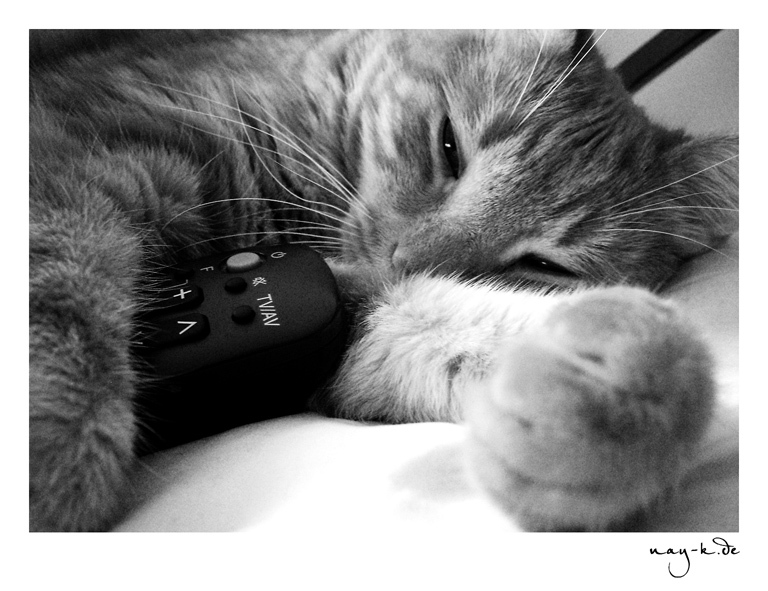 Pepito with remote