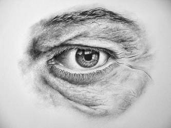 detailed eye