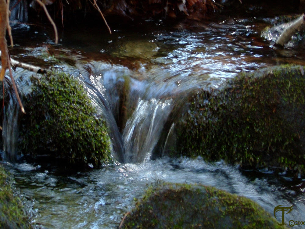 Waterfall Study 4 by phaeidrablue on DeviantArt