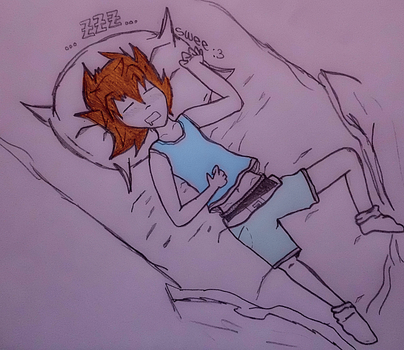 Sora - Sleeping