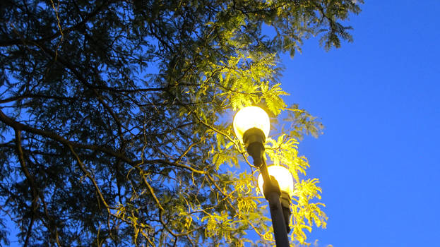 lampost