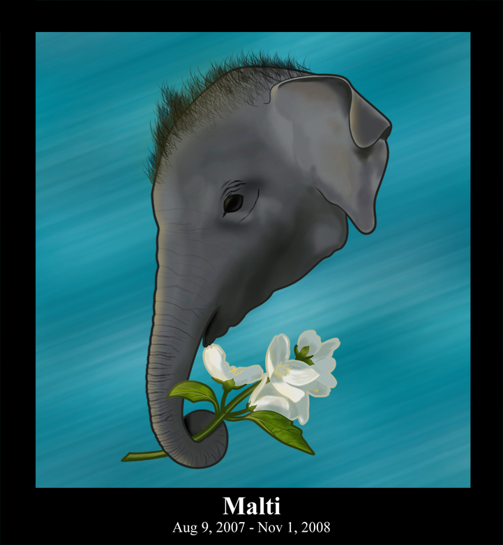 Malti