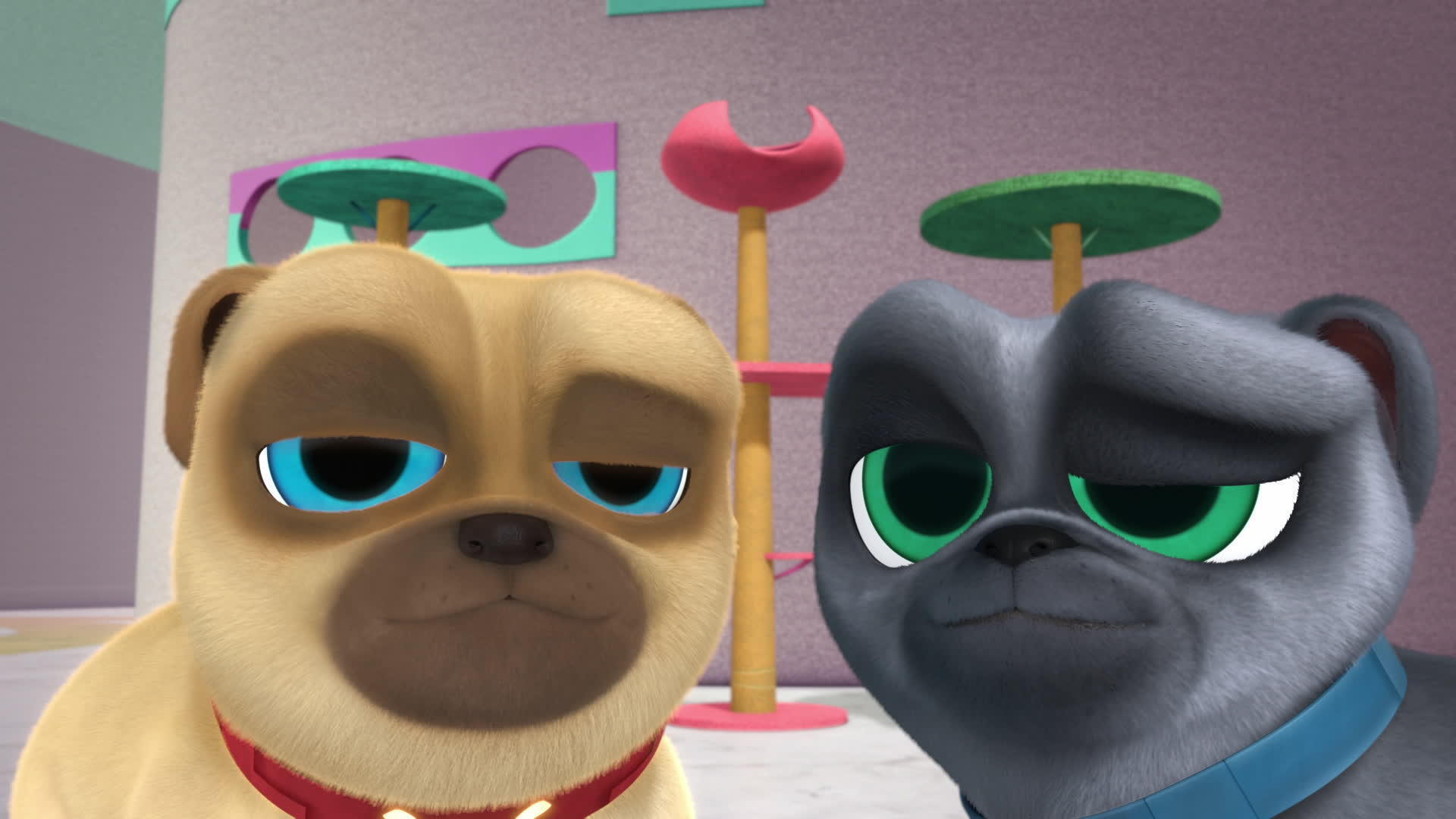 Meet Rolly Puppy Dog Pals: Bingo and Rolly by Babyshowfan2002 on DeviantArt