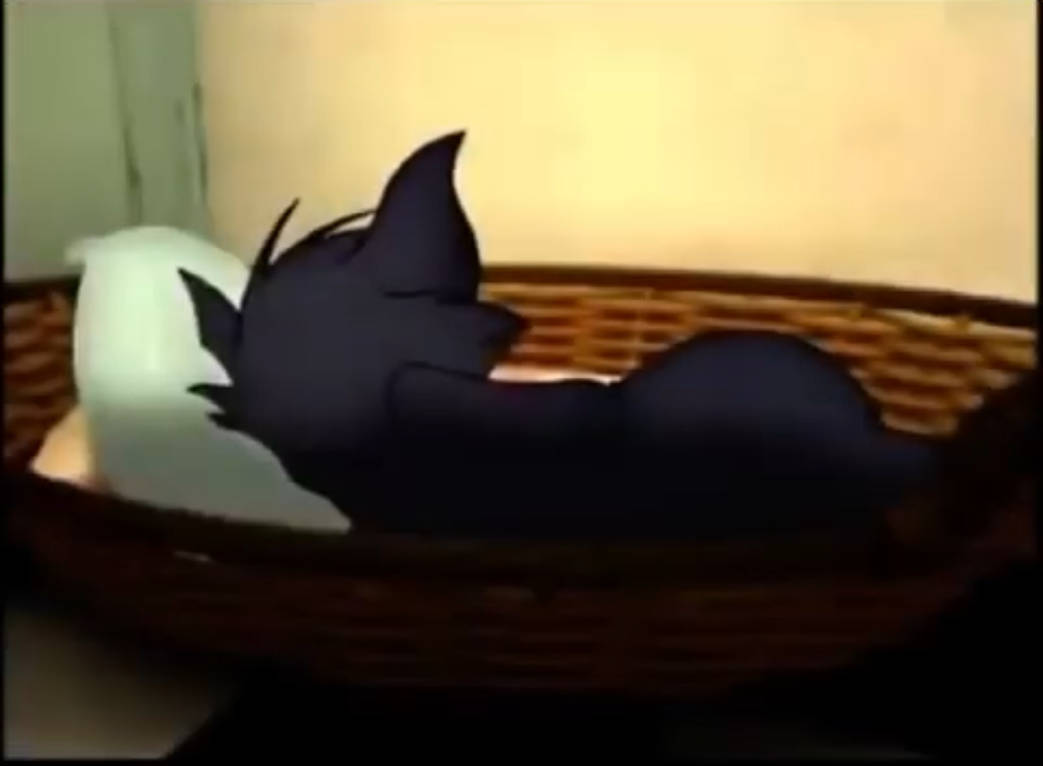 Tom Rounds Sleep Tom Sleeping by Babyshowfan2002 on DeviantArt
