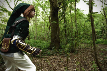 Legend Of Zelda, Twilight Princess Link 2