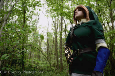 Legend Of Zelda, Twilight Princess Link 5