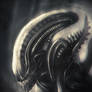 Xenomorph sketch