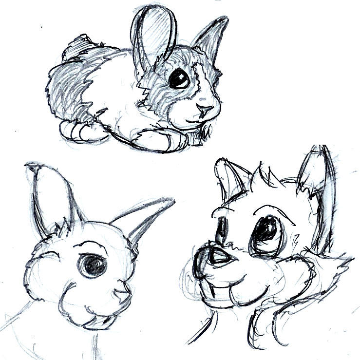 Rabbit sketches by Kithrak on DeviantArt