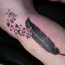 birds crow feather tattoo 2