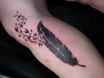 birds crow feather tattoo 2