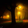 Autumn Dream