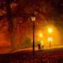 Nocturnal Glow