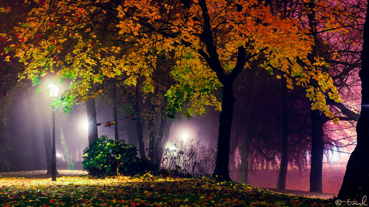 Let's Color The Night by tvurk on DeviantArt