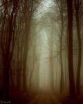 Expanded Gloom by tvurk