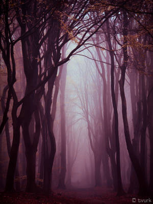 Ancient Dream by tvurk Ancient Dream by tvurk