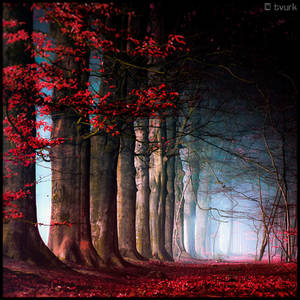 Bloody Nightfall by tvurk Bloody Nightfall by tvurk