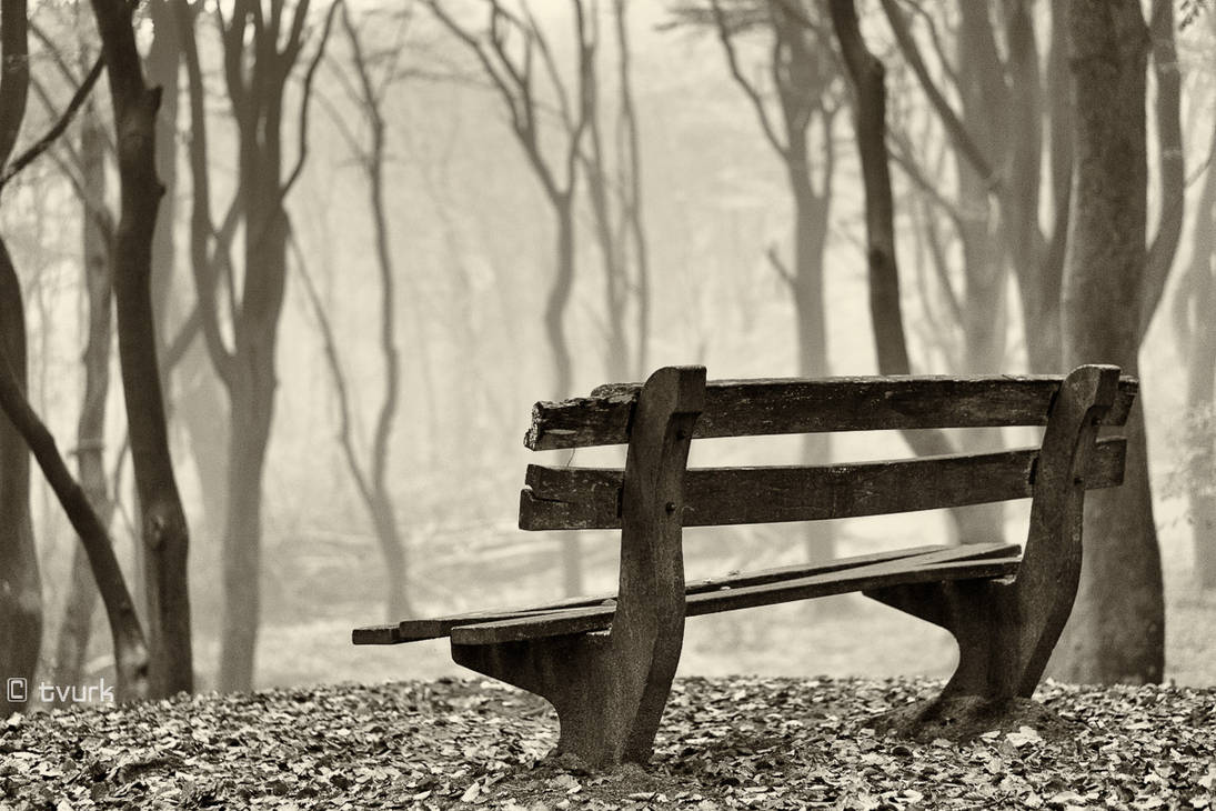Forgotten Bench by tvurk on DeviantArt