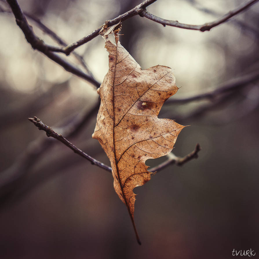 Never Let Go by tvurk Never Let Go by tvurk