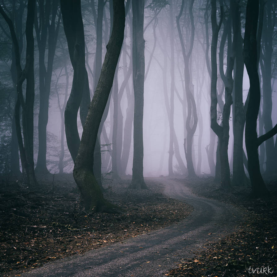 Going Inward by tvurk on DeviantArt