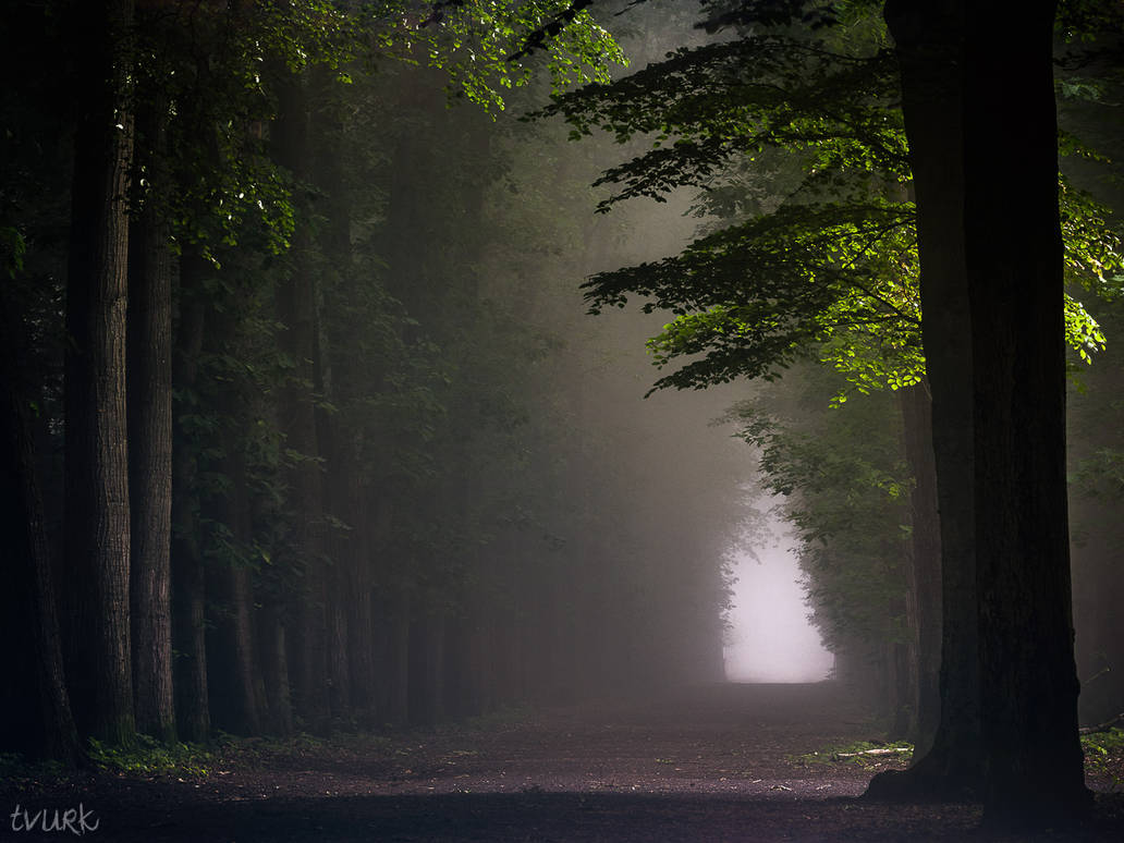 Dimly Lit Dawn by tvurk on DeviantArt