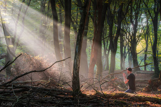 Bathed in Light