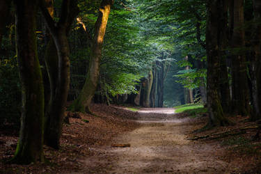 Peaceful Pathway by tvurk