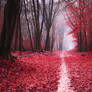 Scarlet Fall