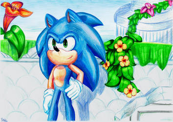 Sonic in Sky Sanctuary