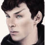 Vulcanbatch