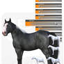 Daz Horse 3 - New Release Preview