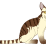 |TVoA| .: Siamese Cat Adopt :. |C L O S E D|