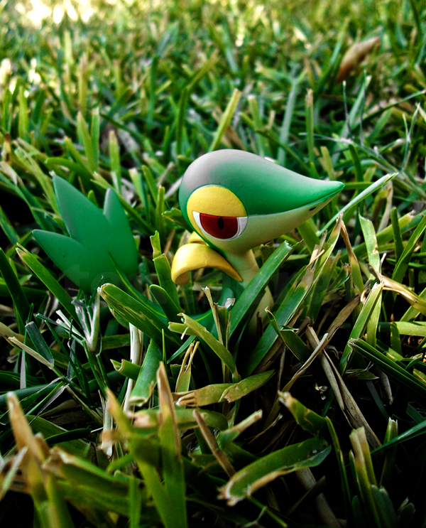 wild snivy appeared