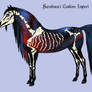 Sarabiwari custom import - pony-bones