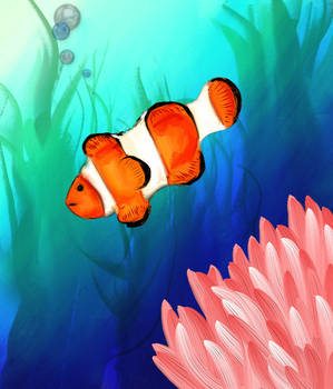 Clownfish!