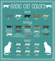 Cat Color Chart